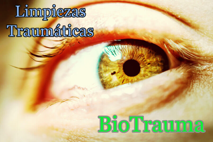 Limpieza por fallecimiento-en-Ponts