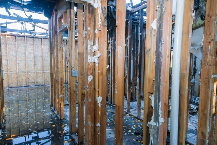 Limpieza por incendios en Canet de Mar