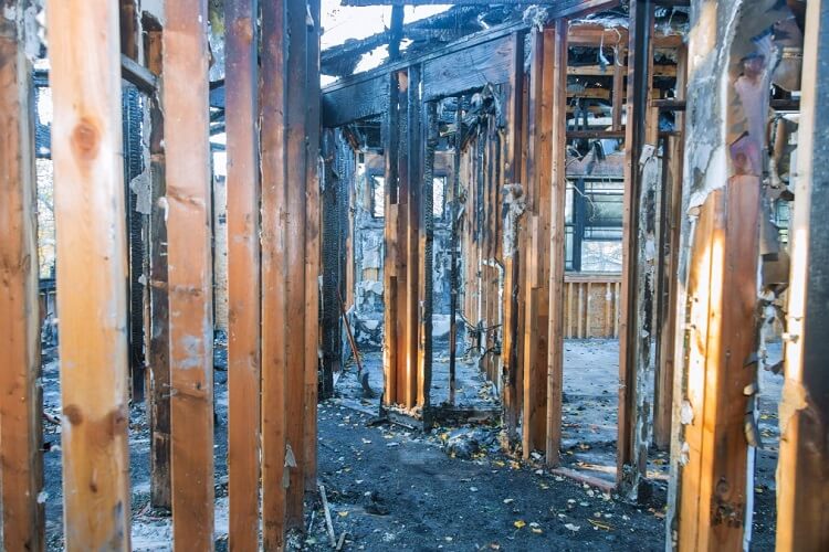 Limpieza por incendios en Porrera